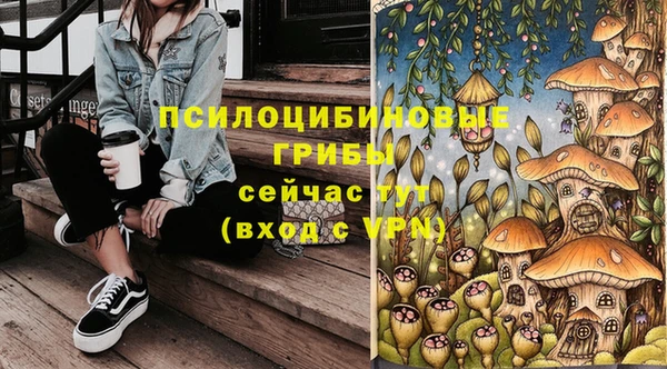 ГАЛЛЮЦИНОГЕННЫЕ ГРИБЫ Верхнеуральск