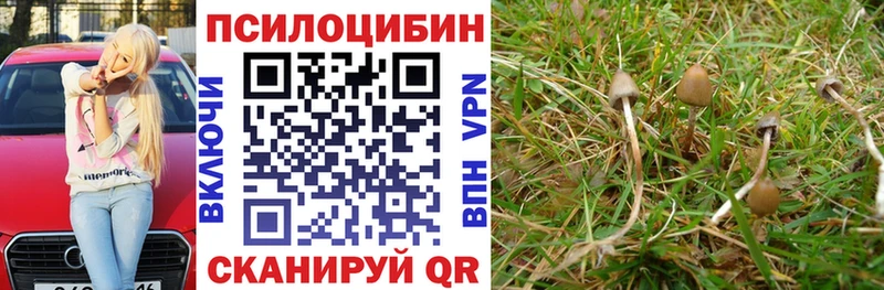 mega ONION  Донецк  Галлюциногенные грибы ЛСД 