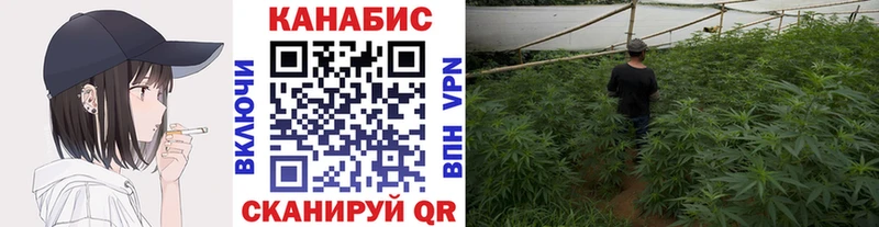 магазин продажи наркотиков  Донецк  Бошки Шишки VHQ 